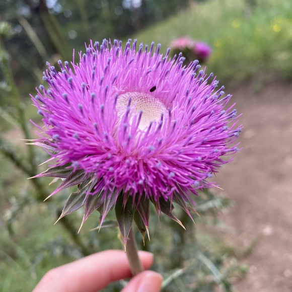 Meet your Posher, Samantha - Picture 9 of 10